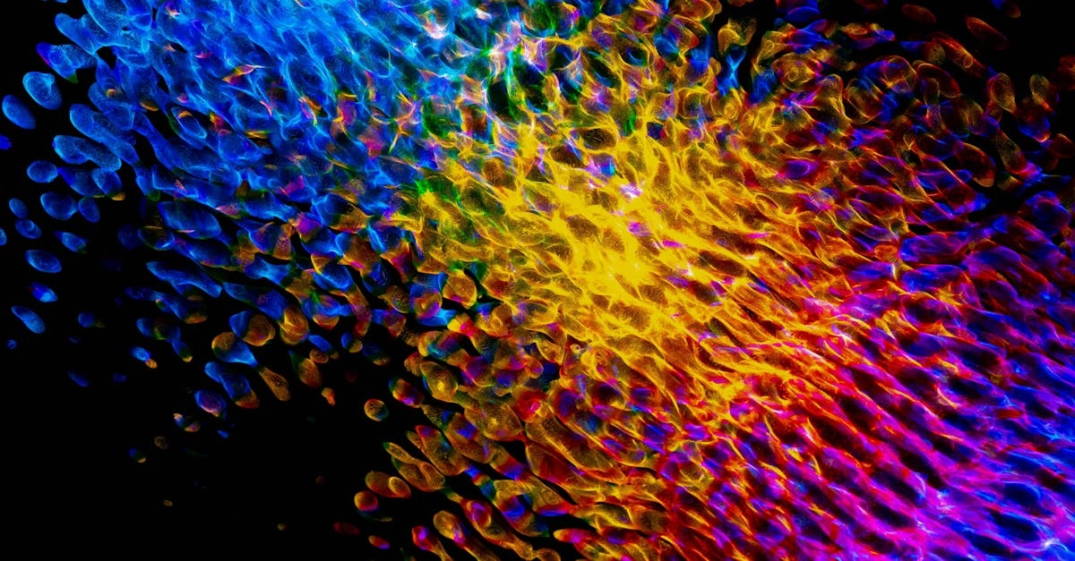 Философские аспекты случайности в цифровых играх