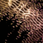 Философские размышления о случайности в цифровом пространстве