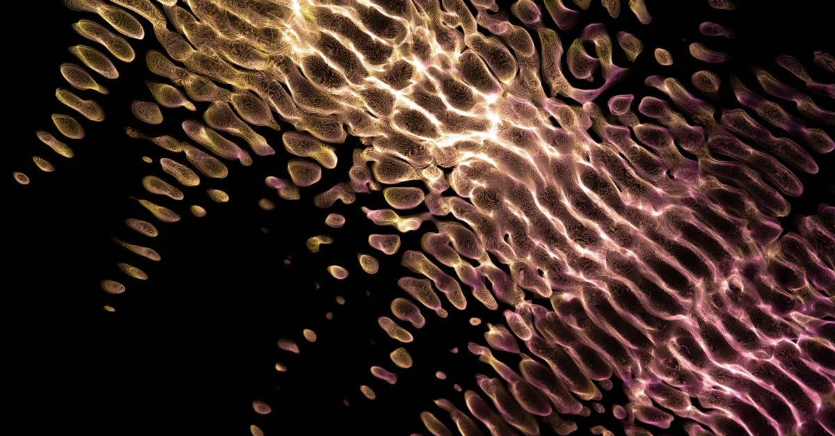 Философские размышления о случайности в цифровом пространстве