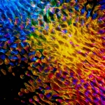 Философские аспекты случайности в цифровых технологиях