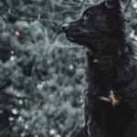 Философские размышления о программах лояльности казино без депозита