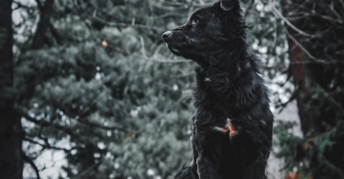 Философские размышления о программах лояльности казино без депозита